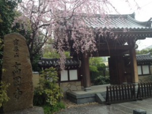 桜高円寺